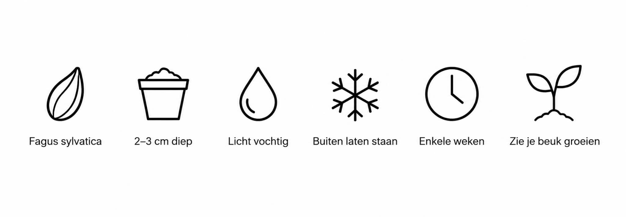 Beschrijving van de afbeelding