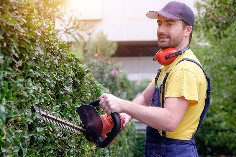 Garden landscapers and open space planners